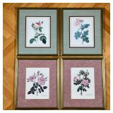 (4pc) BOTANICAL PRINTS  | Reproduction prints of botanical engravings, uniformly framed, two with a 