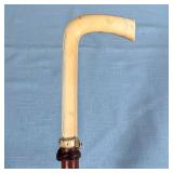 BONE HANDLE CANE  | Wooden cane having a curved bone handle intricately carved with belt motif and a