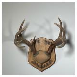 MOUNTED ANTLER PAIR | On a wood plaque, signed by creator "Bill" - l. 14 x w. 11.5 x h. 15 in.