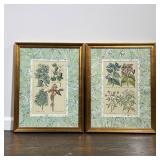 (2pc) PAIR BOTANICAL ENGRAVINGS | Botanical studies, one showing blooming flowers, the other with pi
