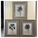 (3pc) Botanical Prints | A set of three, showing plants in decorative urns, framed in ornately decor