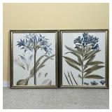 (2pc) Ballard Designs Botanical Prints | Dimensions: w. 14.5 x h. 17.5 in (frame) 