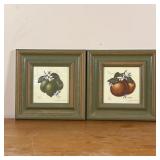 PAIR DYNDI FRUIT PRINTS | Oranges and limes, numbered and pencil signed, nicely framed Dimensions: 1