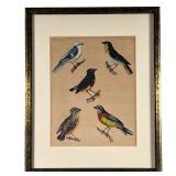 COLORED ETCHING OF 5 BIRDS | 5 colorful woodland birds: 7x9in subject. w. 10.75 x h. 13.25 in 