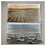 (2PC) WWII AIRCRAFT PHOTOGRAPHS | Gelatin silver prints showing bombers parked in a field - w. 25 x 