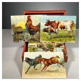 CUBED PUZZLE BOX | Puzzle box containing 12 cubes with 6 different images on each side to create 6 u