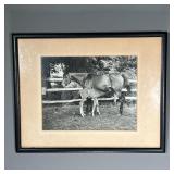 PHOTOGRAPH OF NURSING HORSE & FOAL | Young foal drinking milk from mother. 9.25 x 7.25 in (sight) Al