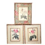 (3PC) FRAMED FLORAL PRINTS | Reproduction botanical engravings in interesting custom frames with bam
