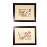 (2PC) PAIR FRAMED FLORAL PRINTS | Colorful floral prints included Latin names of each flower. 13 x 9