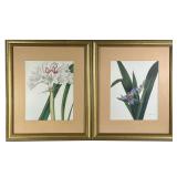(2PC) PAIR CLOSE-UP FLORAL PRINTS | Close-up prints of blue and white flowers in gilt frames. 10.5 x