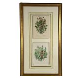 PAIR FRAMED FLORAL PRINTS | Depicts bouquet of assorted flowers with English and Latin name key in g