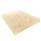 LARGE TAN CARPET | Large tan carpet with cream and light blue crossed striations throughout. - l. 10