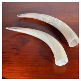 (2pc) Horns | l. 19 in (longest) 