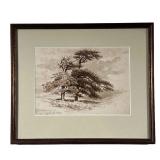 19th Century Signed Print | Signed and dated July 26, 1849 print of trees. 9.5 x 6.5in sight. - l. 1