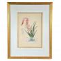 SALVADOR DALI (1904-1989) LITHOGRAPH | Water Hybiscus Swan color lithograph 11.5 x 8 in., sight Arti