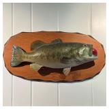 TAXIDERMY FISH | Taxidermy fish with apple in its mouth on board. - l. 27 x w. 6 x h. 13.5 in