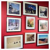 (9PC) FRAMED WILDLIFE PHOTOGRAPHY | w. 18.5 x h. 14.5 in (largest frame)