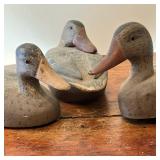 (3PC) BLACK DUCK DECOY RIG | Three Vintage Black Duck/Mallard Hen Decoys by an unknown carver and al