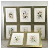 (8PC) INSECT AND PLANT PRINTS | Includes 8 separate framed prints showing various insects and the fl