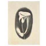 JOHN MCCLELLAN (1908-1986) | Surrealist composition. Lithograph. Pencil signed and dated 1940 lower 