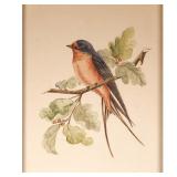 M FAGER BIRD WATERCOLOR | w. 11 x h. 13 in (frame) 