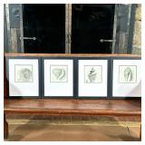 (4PC) FRAMED SEASHELL PRINTS | 6 x 6 in. Sight. - l. 15.5 x w. 12.5 in (frame)