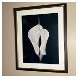 Lily Photo Print | Art.Com Black & White Lily Photo Print. Nicely Framed in black with gold. - l. 25