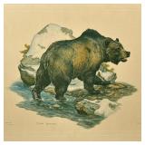 CLARK BRONSON GRIZZLY BEAR LITHOGRAPH | Framed color lithograph of a grizzly bear by Clark Bronson. 