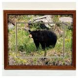 RICHARD KORCZYNSKI BEAR PHOTOGRAPH | Framed photograph of a black bear by Richard V. Korczynski. - l