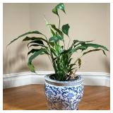 Chinese Blue & White Planter | With floral and vine pattern and a key border, accompanied by a live 