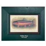 Golden Trout Print | In a green painted and captioned frame, “Soda Creek”. - w. 12 x h. 9 in (frame)