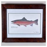 Ron Pittard Fish Print | Rainbow trout, signed (possibly in the print) lower right, in a wooden fram