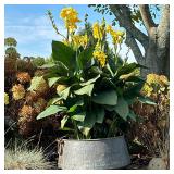 LARGE COPPER BASIN | Large copper basin with handles. - h. 14 x dia. 24 in