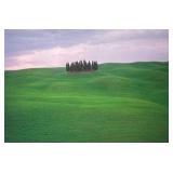 Italian Landscape Print | Pencil signed and dated 2003 lower right, titled lower left, Cipressi; sig