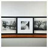 (3pc) PARK SCENE ART PHOTOGRAPHS | Moody black and white photographs in nature / park settings, each