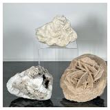(3pc) CORAL & CRYSTALS | Including: Selenite Desert Rose crystal structure, Brain coral, and other f