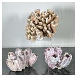 (3pc) MIXED CORAL | Including: Branch or finger coral, and pair of barnacle clusters - h. 8 x w. 9 x