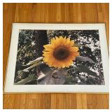 Unknown Artist, Original Photography - Sunflower | Close-up photography of a single bloomed sunflowe