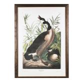 AFTER JOHN JAMES AUDUBON (1785-1851 | Pencil numbered and pencil signed R. Hall Ed. 1/200 with Audub