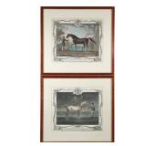 (2pc) PAIR 18TH C. HORSE PRINTS | With hand coloring Sight 11.75 x 13.75 in. h. 18.75 x w. 20 in. (f