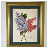 Joan B. Ripperger (American, 1923-) Watercolor - Lilacs | Floral painting of two bundles of lilac fl