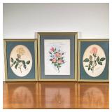 (3pc) Floral Artwork in Gold Frames | Set of three (3) vintage floral artwork, matted and framed in 