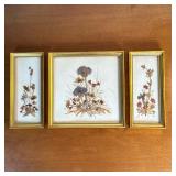 (3pc) Dried Pressed Flowers in Gold Frames | Set of three (3) vintage dried, pressed flowers in gold