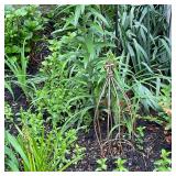 Topiary Trellis with Finial Top #2 | Topiary with vertical trellis and finial top for guiding plant 
