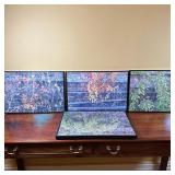 (4pc) Unknown Artist, Photography - Plants | Close-up photography of plants along a railroad track, 