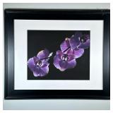 ORCHID PHOTOGRAPH | Purple orchid. Framed Photograph. 15.5 x 19.5 in. Sight - h. 27.75 x w. 33.75 x 
