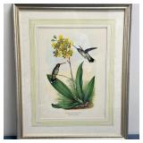 Lithograph/Print - "Constant Star Throat Hummingbird" | Print of two hummingbirds, specifically the"