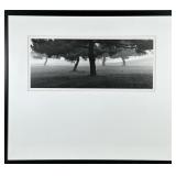 BLACK & WHITE LANDSCAPE PHOTOGRAPH | Black and white landscape. Photograph. 8.25 x 19.5 in. Sight. U