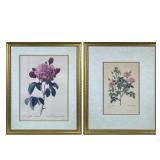 PAIR FRAMED FLORAL PRINTS | Two floral framed prints, both titled and signed at bottom - h. 22 x w. 