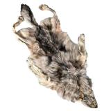 Vintage wolf pelt floor rug | Taxidermy wolf pelt made into a floor rug - w. 21 x l. 58 in
